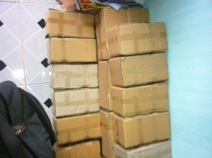 Hộp nhử mối tại Gò Vấp