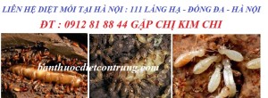 Địa chỉ bán thuốc diệt mối tận gốc ở Hà Nội 111 Láng Hạ