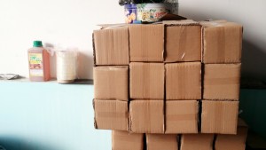 Đại lý bán hộp nhử mối