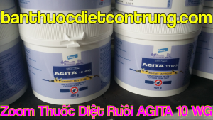 Hướng dẫn cách diệt ruồi với Agita 10WG