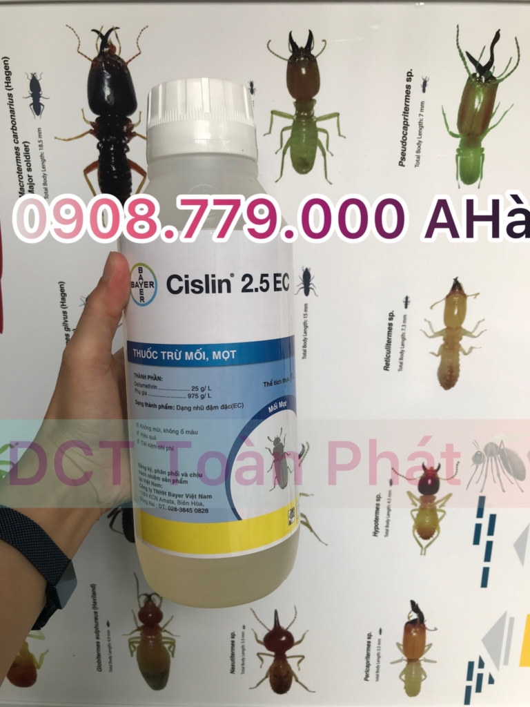 Diệt mối tại Bình Chánh