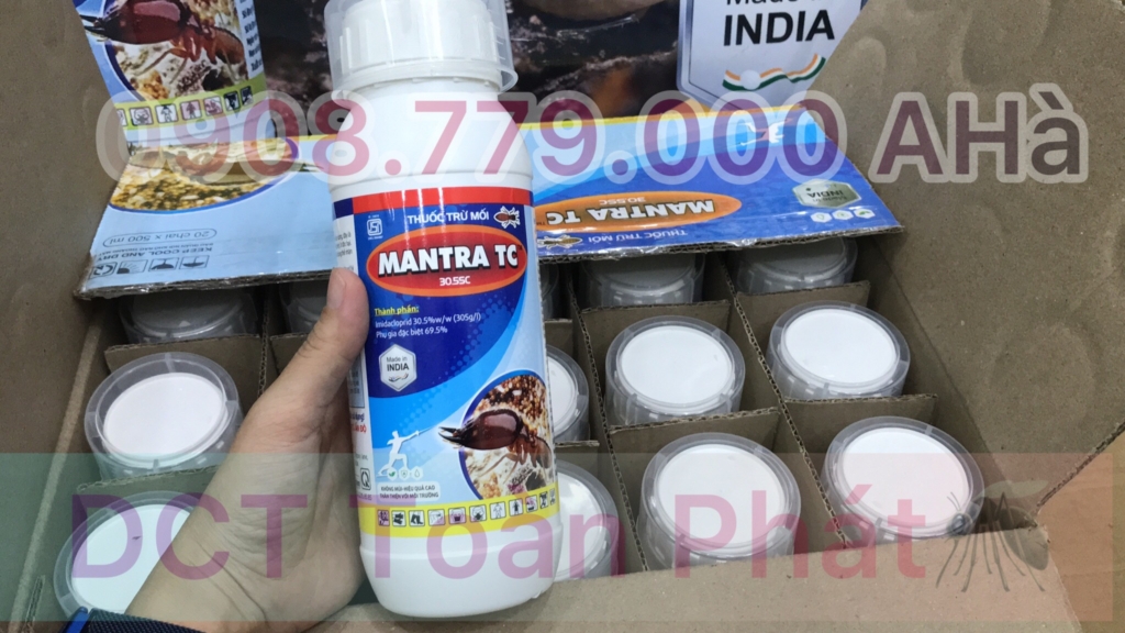 Diệt mối tại Bình Chánh