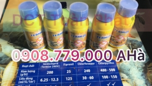 Dịch vụ chống mối xây dựng tại Long An