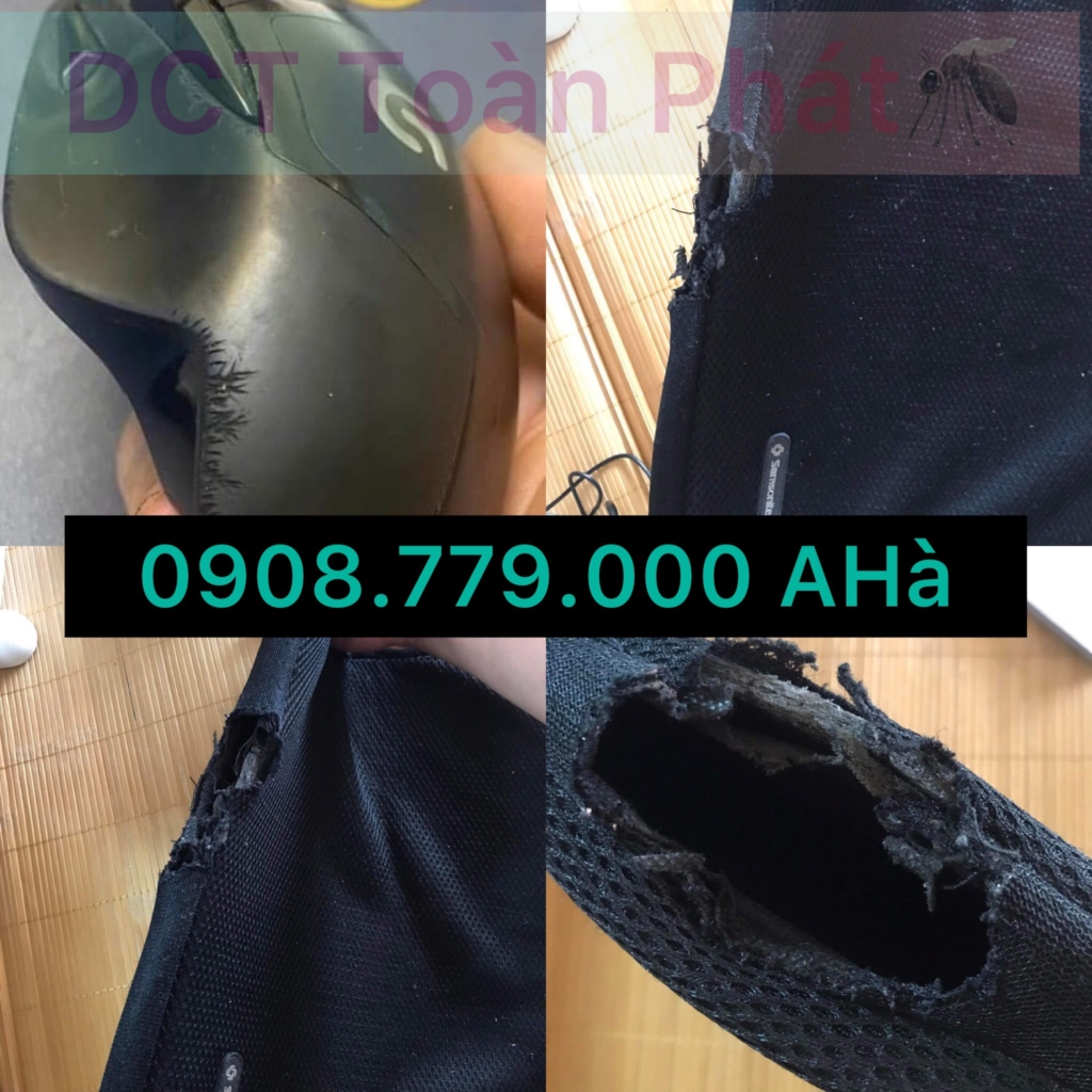 Tại đây có bán thuốc Diệt Chuột Storm