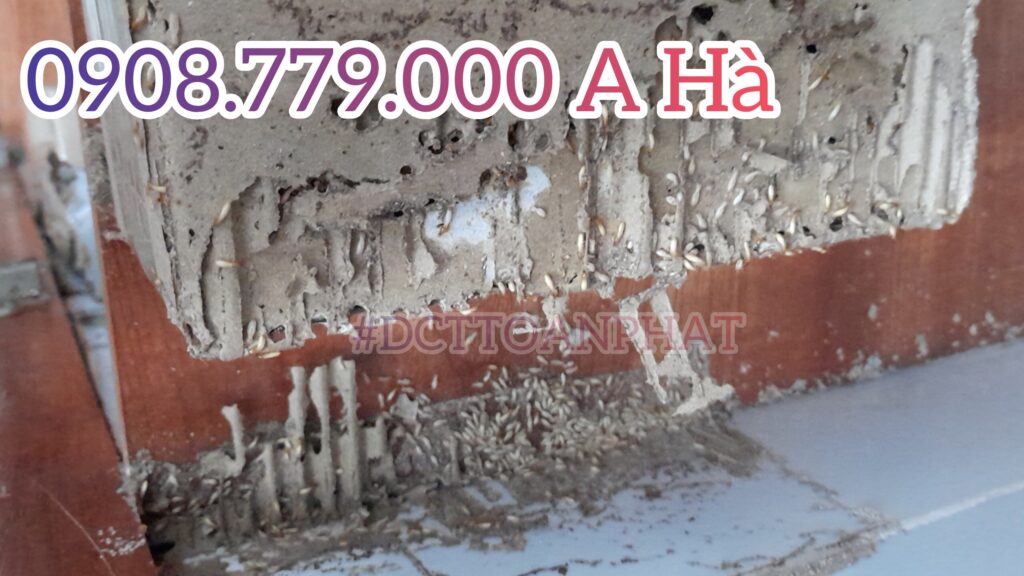 MOI AN DO CO CHUA GO