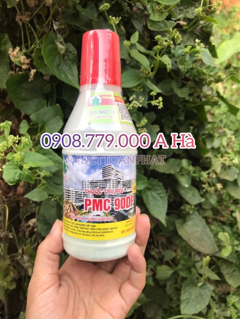 Nhận Diệt Mối Tận Gốc Tại Thành Phố Hồ Chí Minh