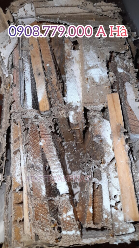 xu ly cho moi nhu moi PMC90DP