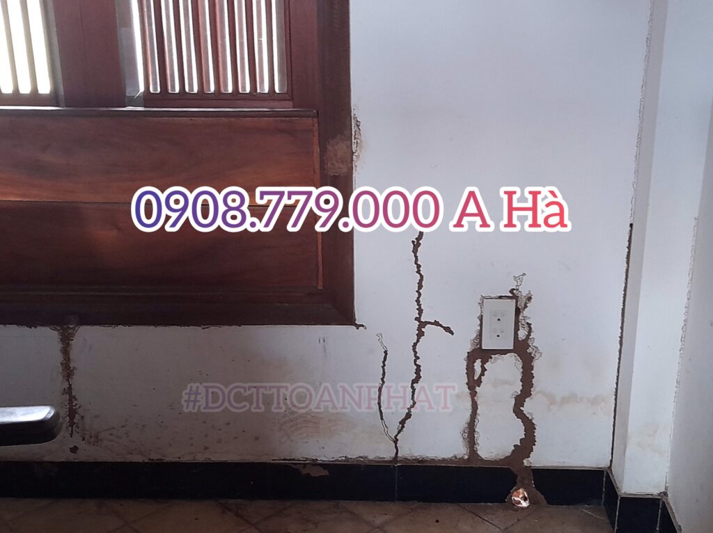 duong moi an vao o đien