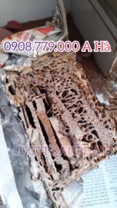 mói an trong hop nhu