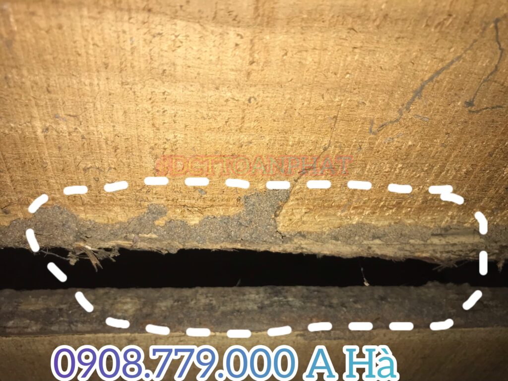 Dấu hiệu nhà bị mối ănđường trú ẩn do con mối xây dựng 