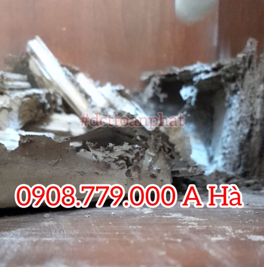 Hộp nhử mối chứa nhiều mối thợ