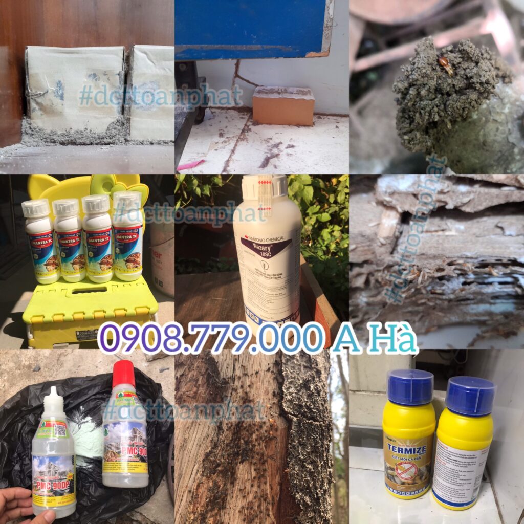 những sản phẩm thuốc diệt mối tại dct toàn phát