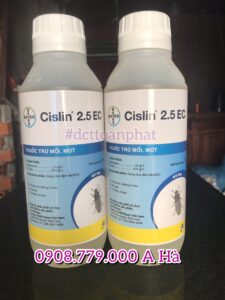 Kiểm Soát Mối Tận Gốc Tại Quận Bình Tân