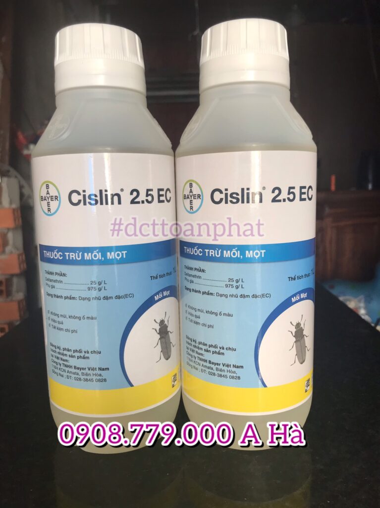 Kiểm Soát Mối Tận Gốc Tại Quận Bình Tân