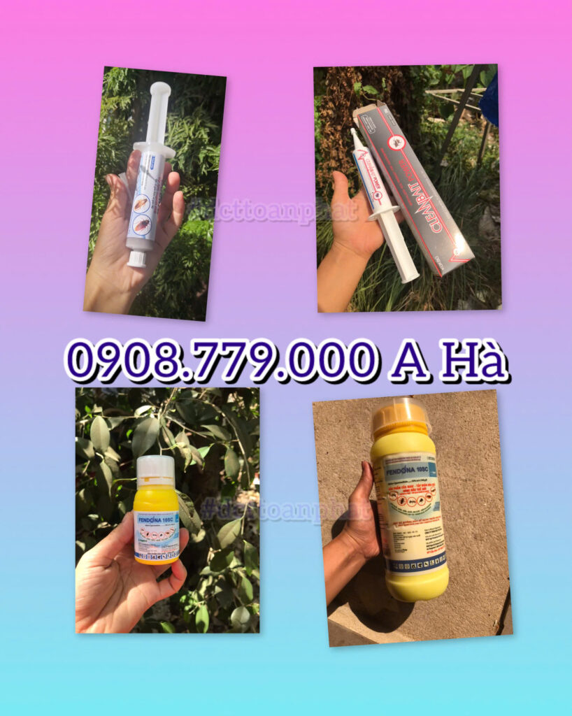 Các sản phẩm diệt gián hiệu quả