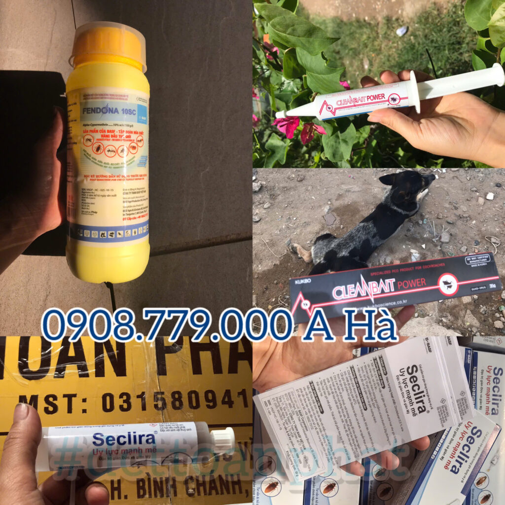 Các Sản Phẩm Thuốc Diệt Gián & Mồi Diệt Gián Hiệu Quả