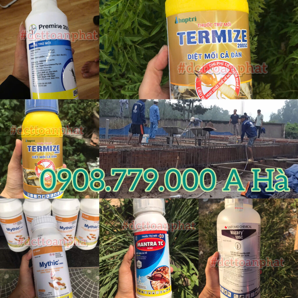 Bán Thuốc Phòng Chống Mối Hiệu Quả