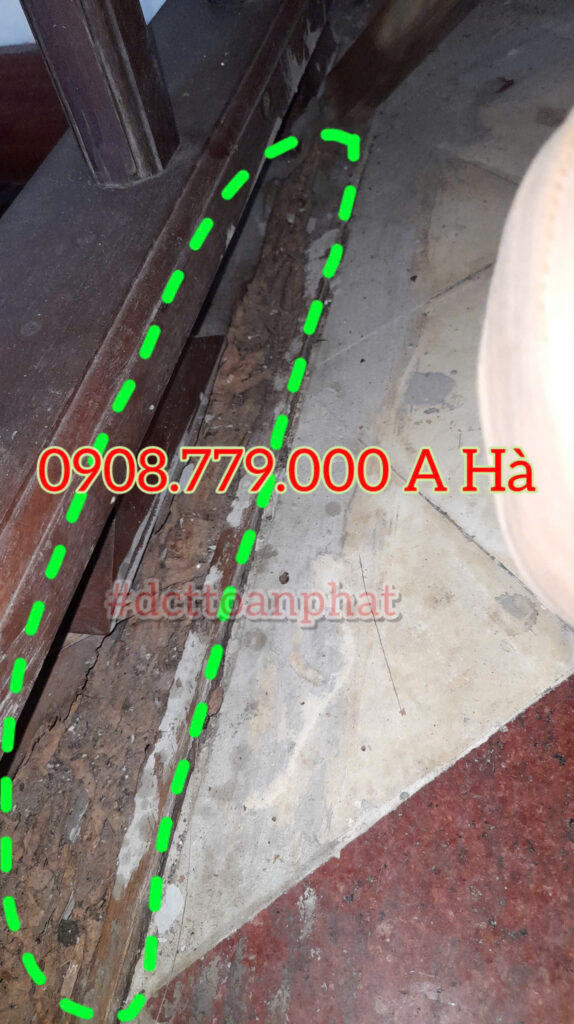 Cánh cửa bị mối phá hoại 