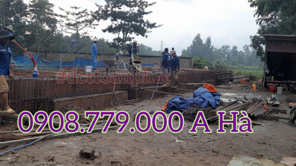 Dịch Vụ Phòng Chống Mối Côn Trình