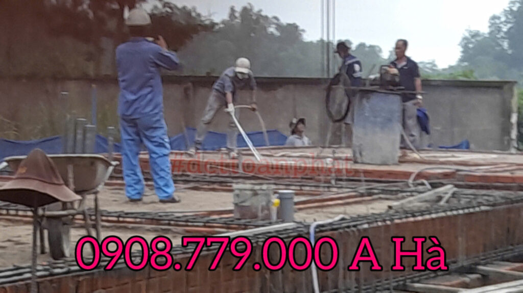 Phòng Chống Mối Cho Công Trình TRước Khi Xây Dựng Nhà Ở