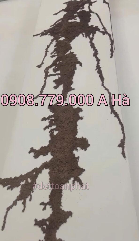 Điểm Bán Thuốc Phòng Chống Mối Tại Quận 4 Đường ống bùn dấu hiệu nhà chúng ta có mối