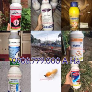 Điểm Bán Thuốc Phòng Chống Mối Tại Quận 8